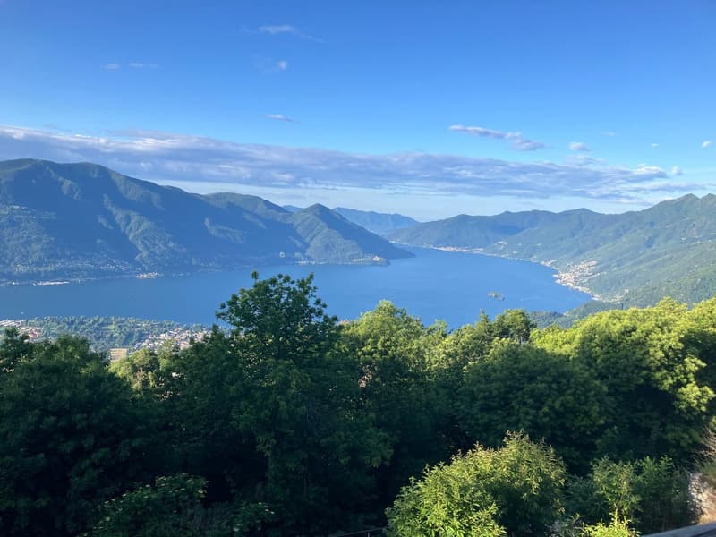 Affittasi casa di 2 appartamenti a Monte Brè (2)