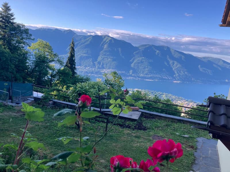 Affittasi casa di 2 appartamenti a Monte Brè (3)