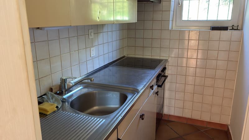 Affittasi appartamento di 2 locali a Gordevio (7)