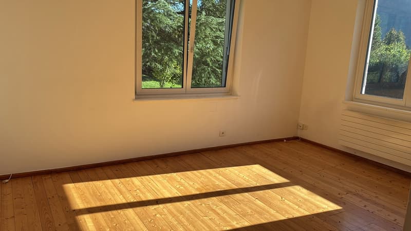 Affittasi appartamento di 2 locali a Gordevio (4)