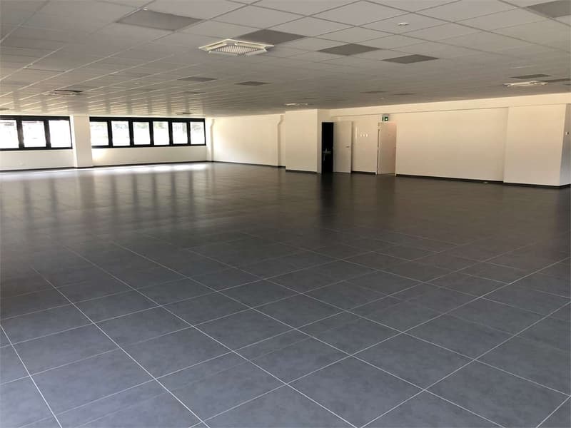 Moderne Gewerbefläche von 232 m² in Giubiasco zu vermieten (6)