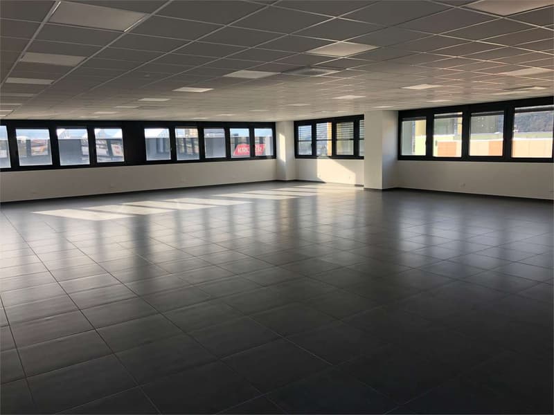 Moderne Gewerbefläche von 232 m² in Giubiasco zu vermieten (3)