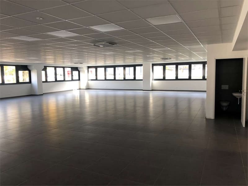 Mietobjekt Gewerberaum 234 m² in Giubiasco - Erdgeschoss (4)