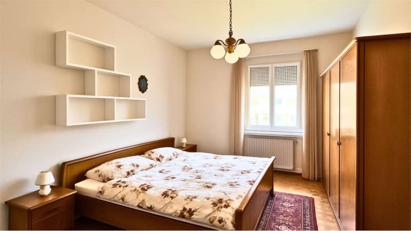 APARTMENT 3.5 ROOMS LAKE VIEW (10)