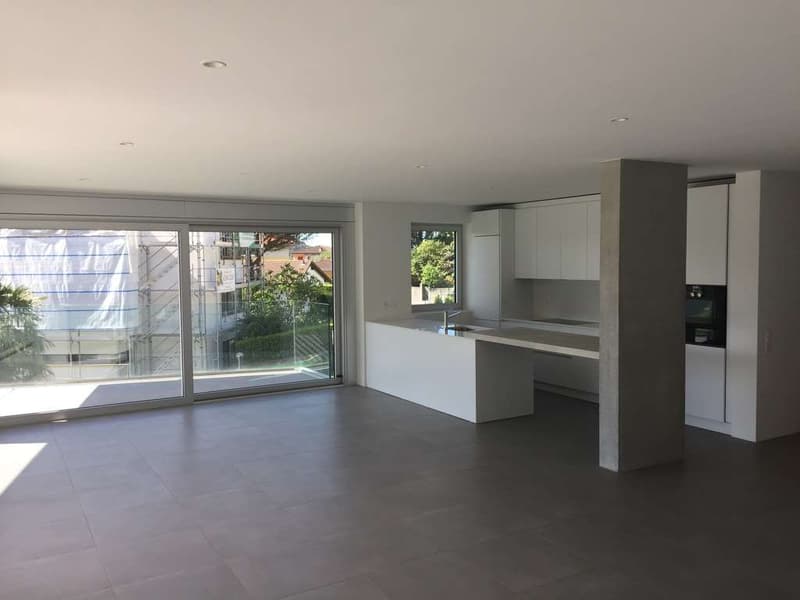 APARTMENT 3.5 LOC. WITH POOL MORBIO INFERIORE (5)