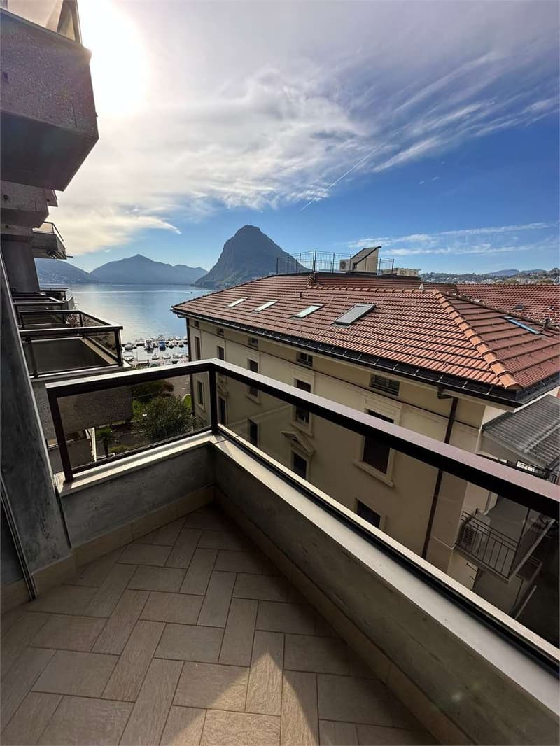 3.5 room furnished apartment (1)