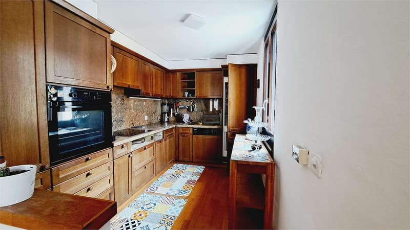 Core House in Pazzallo (7)