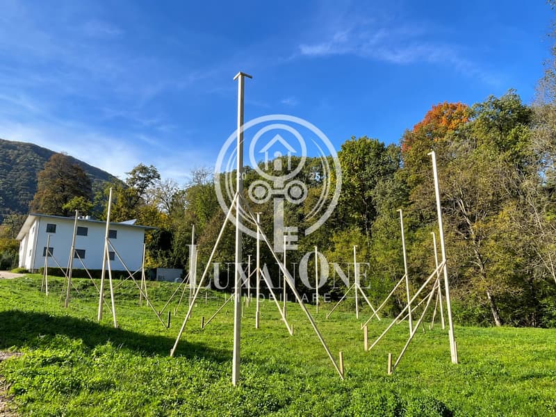 Exklusives Baugrundstück in Arcegno – bewilligtes Projekt für 4 Villen (4)