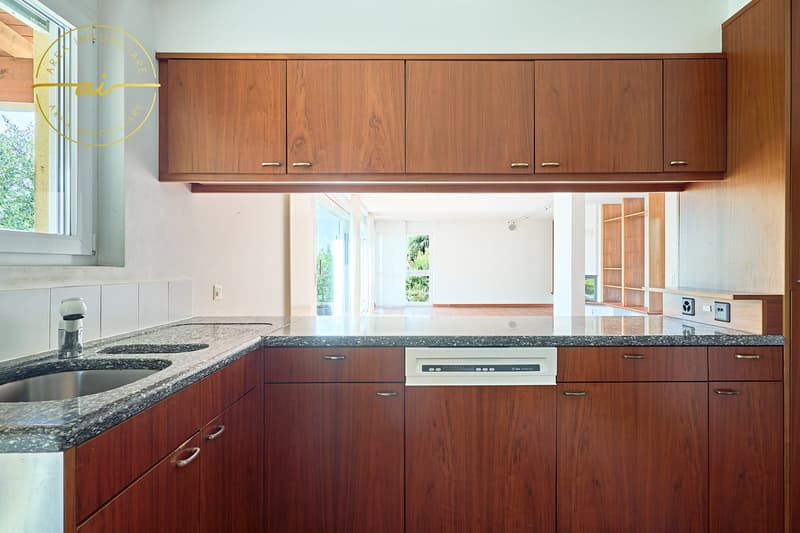 VILLA CON STUDIO SEPARATO E MERAVIGLIOSO GIARDINO (5)