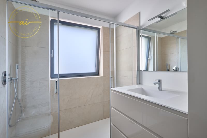 Appartement 3.5 pièces avec terrasse de nouvelle construction PPP4 (6)