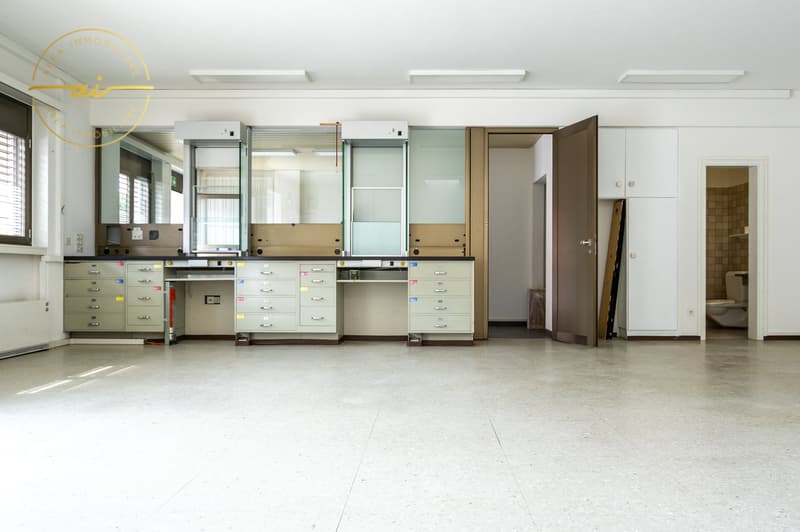 Maison unifamiliale avec local commercial annexe (9)