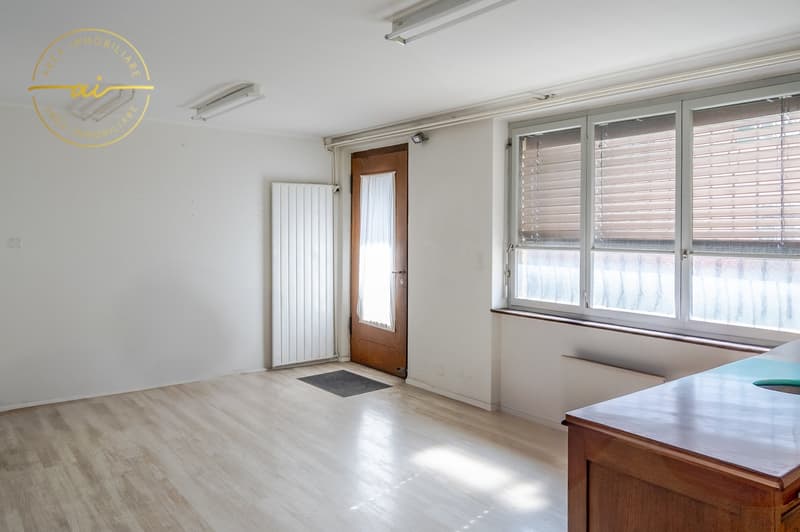 Maison unifamiliale avec local commercial annexe (12)
