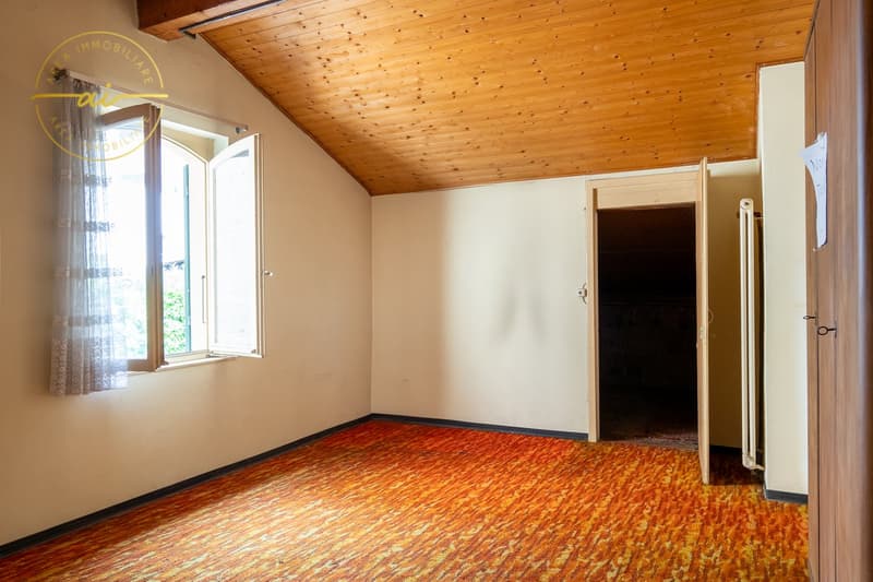 Maison unifamiliale avec local commercial annexe (25)