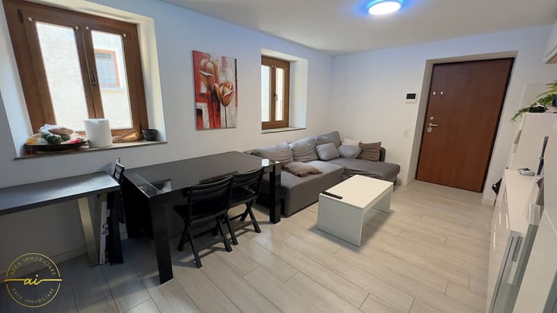 Appartement de 2.5 pièces dans le noyau de Bironico (2)