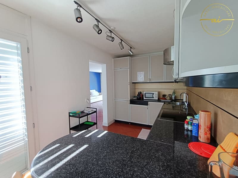Attic 4.5 rooms with double terrace and open view (5)