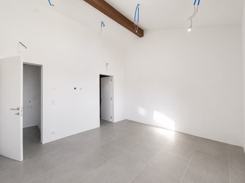 Maison unifamiliale moderne de nouvelle construction avec jardin (7)