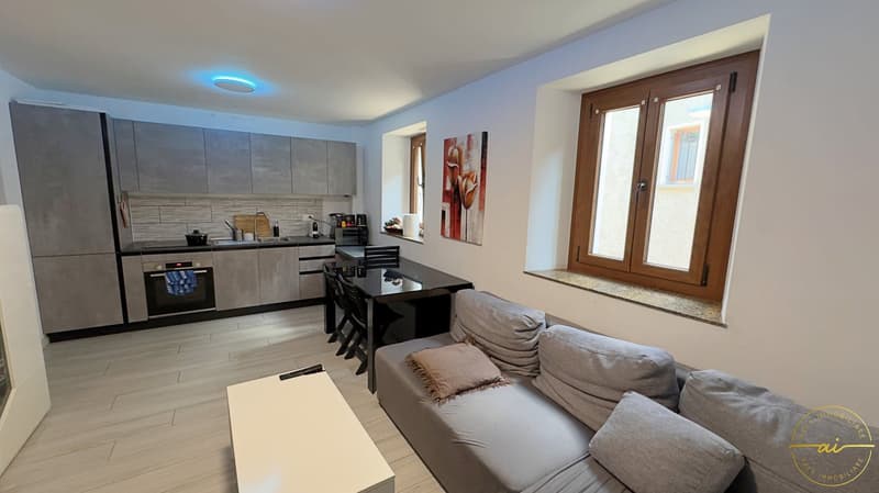 Appartement de 2,5 pièces dans le noyau de Bironico (1)