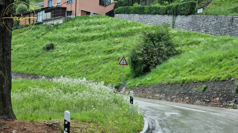Buildable land in the green of Bosco Luganese (1)