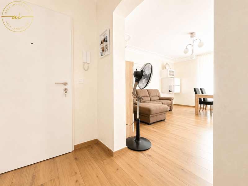 Apartment 4.5 rooms completely renovated in Gravesano (6)