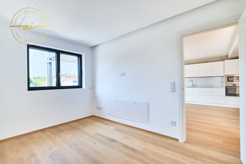 Wohnung 3.5 Zimmer mit Terrasse in neuer Bauweise PPP4 (4)