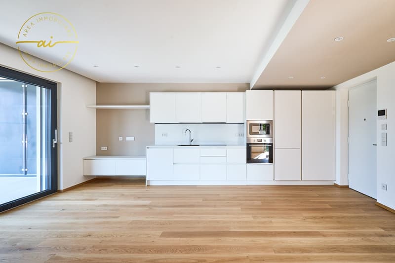 Wohnung 3.5 Zimmer mit Terrasse in neuer Bauweise PPP4 (1)