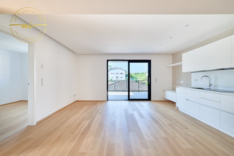 Wohnung 3.5 Zimmer mit Terrasse in neuer Bauweise PPP4 (2)