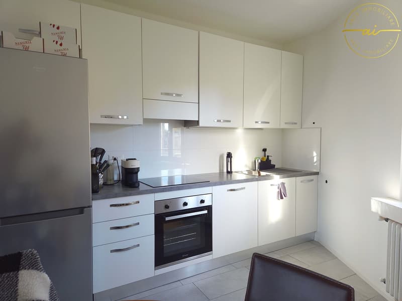 Modernes 3.5-Zimmer-Apartment in Morbio Inferiore (3)