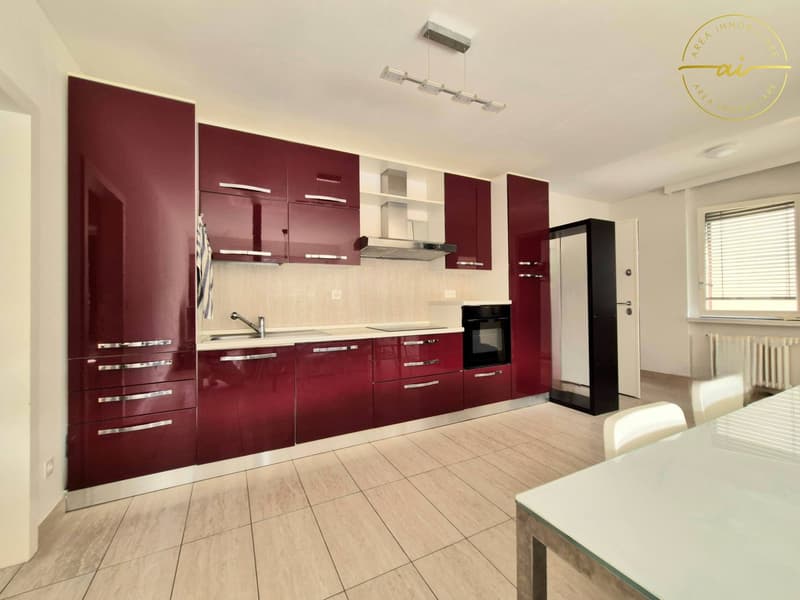 PRATICO APPARTAMENTO 3.5 LOCALI IN ZONA CENTRALE - MENDRISIO (6)