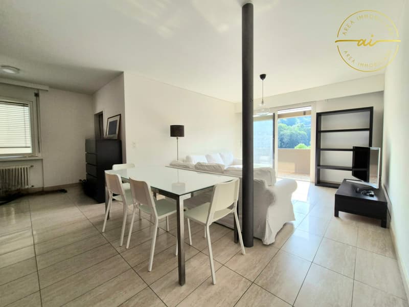 PRATICO APPARTAMENTO 3.5 LOCALI IN ZONA CENTRALE - MENDRISIO (5)