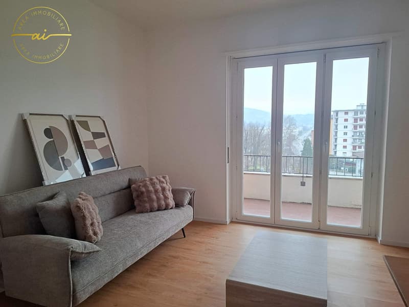 Wohnung mit 4.5 Zimmern, möbliert, in der Palapenz-Zone (3)