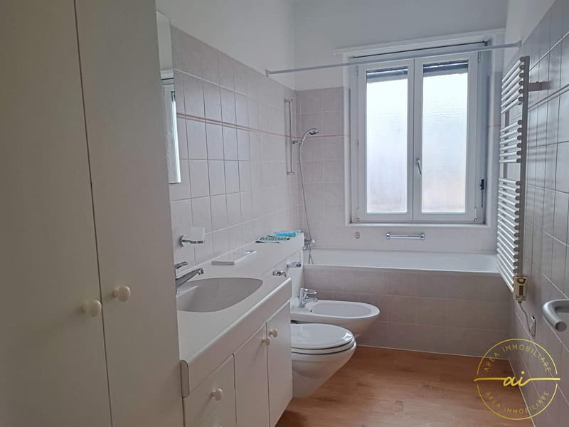Wohnung mit 4.5 Zimmern, möbliert, in der Palapenz-Zone (6)