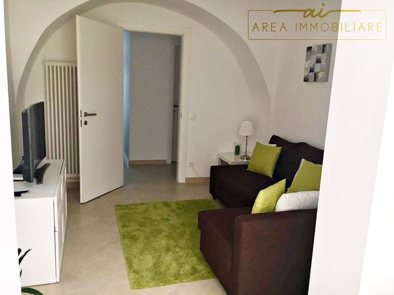 AMPIO E MODERNO 2.5 LOCALI CON CORTILE PRIVATO (6)