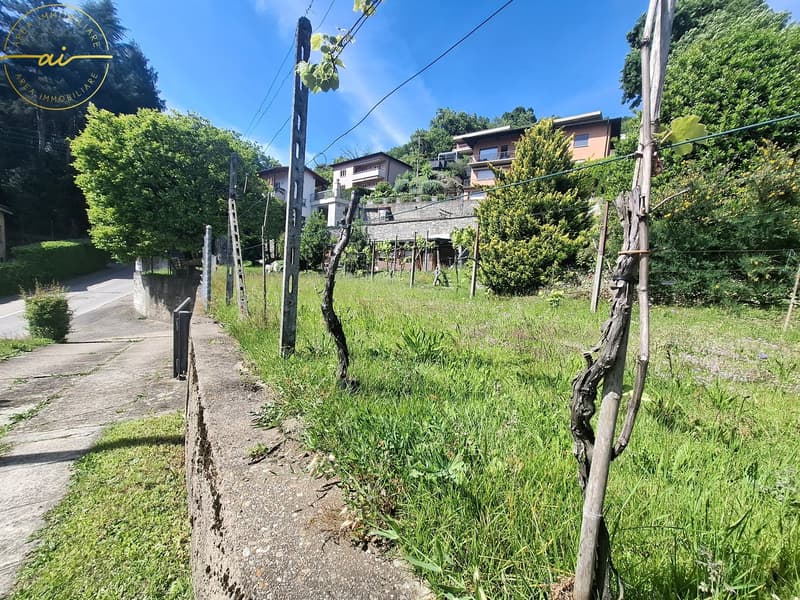 Beautiful building land with lake view in Sonvico (2)