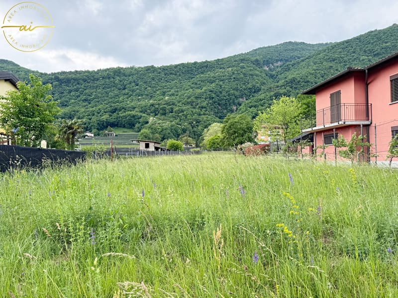 TERRENO EDIFICABILE IN POSIZIONE CENTRALE A RIVA SAN VITALE (2)