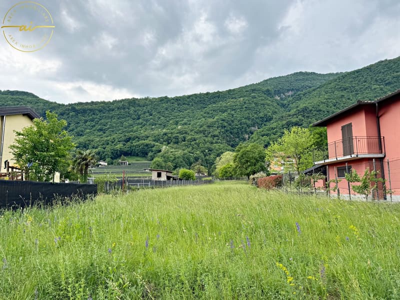 TERRENO EDIFICABILE IN POSIZIONE CENTRALE A RIVA SAN VITALE (1)