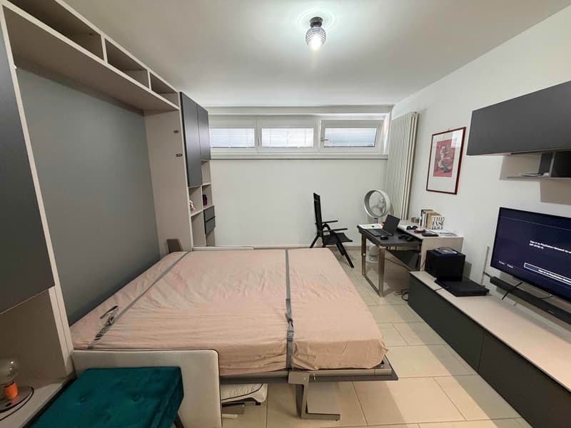 Appartement confortable de 1,5 pièces avec vue sur le lac à Melide (2)