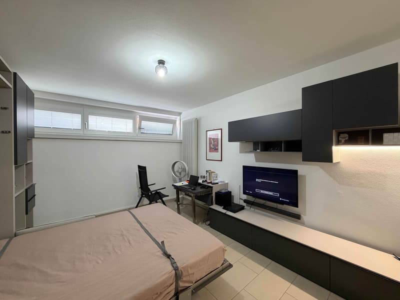 Appartement confortable de 1,5 pièces avec vue sur le lac à Melide (4)