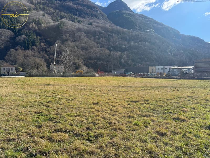 Baugrundstück inmitten der Natur in Osogna (4)