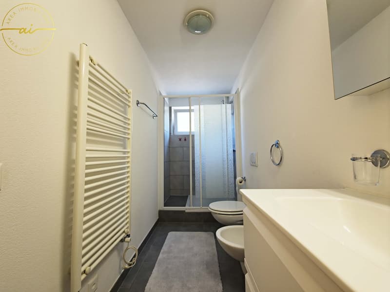 ACCOGLIENTE DUPLEX DI 4.5 LOCALI CON GRANDE SPAZIO ESTERNO PRIVATO A MAGLIASO (12)