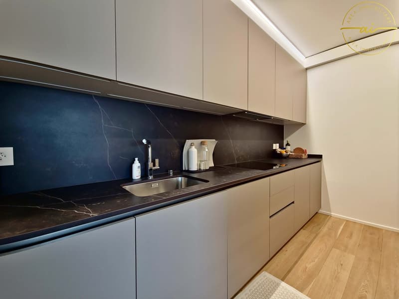 Elegante appartement 3.5 pièces avec terrasse et vue partielle sur le lac à Paradiso (6)