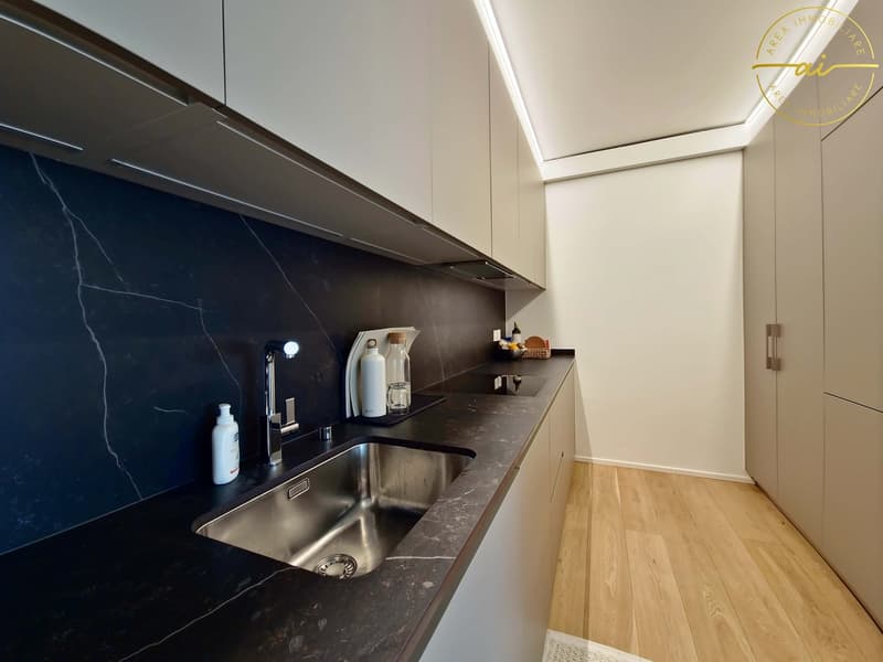 Elegante appartement 3.5 pièces avec terrasse et vue partielle sur le lac à Paradiso (7)