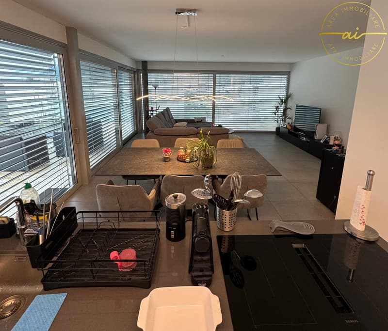 ATTICO 3.5 LOCALI CON AMPIA TERRAZZA NEL CUORE DI BELLINZONA (4)