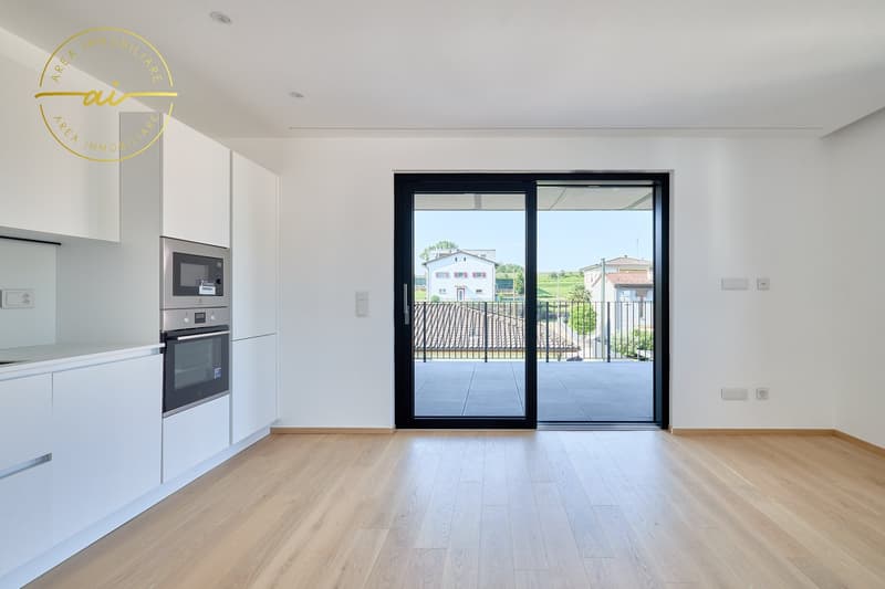 Appartement 3.5 pièces avec terrasse de nouvelle construction N3 (2)