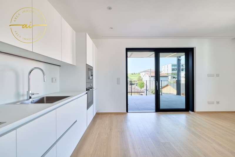 Appartement 3.5 pièces avec terrasse de nouvelle construction N3 (1)