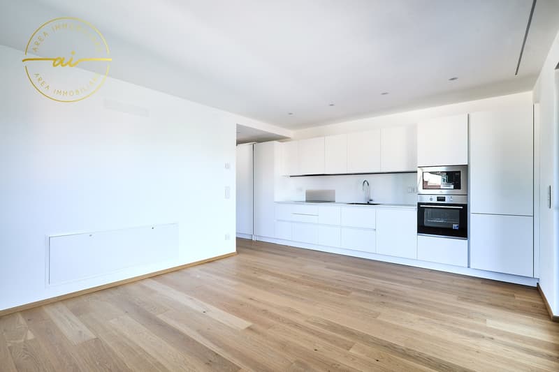 Appartement 3.5 pièces avec terrasse de nouvelle construction N3 (4)