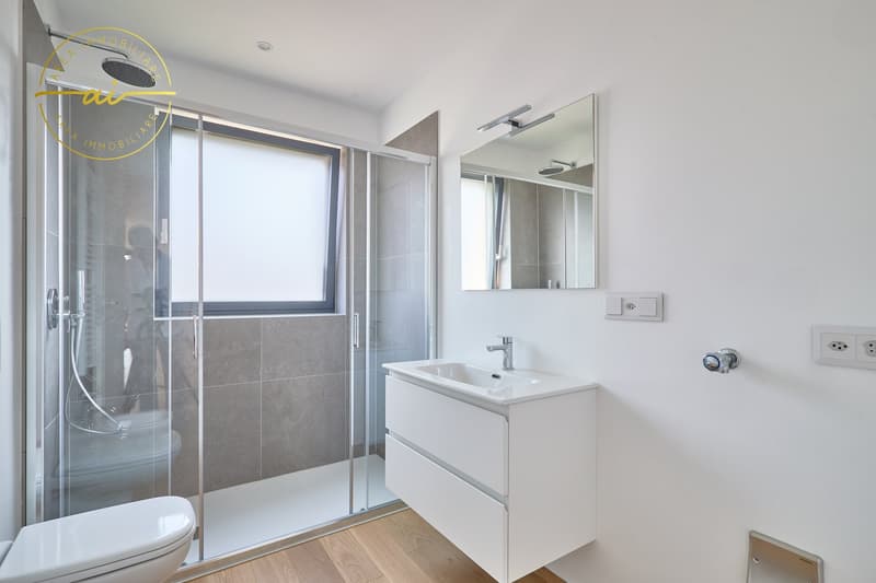 Appartement 3.5 pièces avec terrasse de nouvelle construction N3 (9)