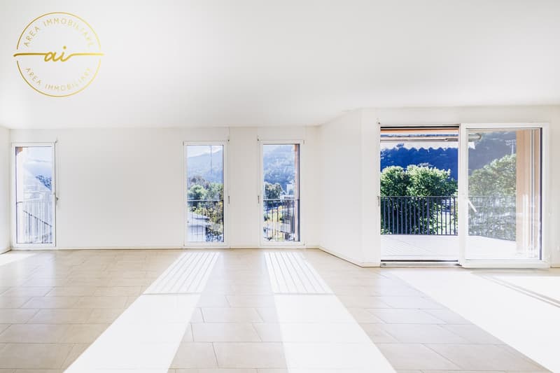 Luminoso attico di 5 locali con grande terrazza a Chiasso (1)