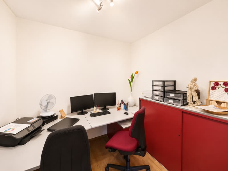 VILLA MODERNA DI 6.5 LOCALI CON AMPIO GIARDINO A STABIO (15)