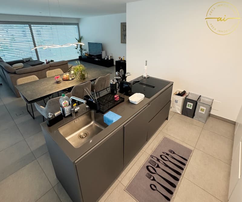 ATTICO 3.5 LOCALI CON AMPIA TERRAZZA NEL CUORE DI BELLINZONA (2)