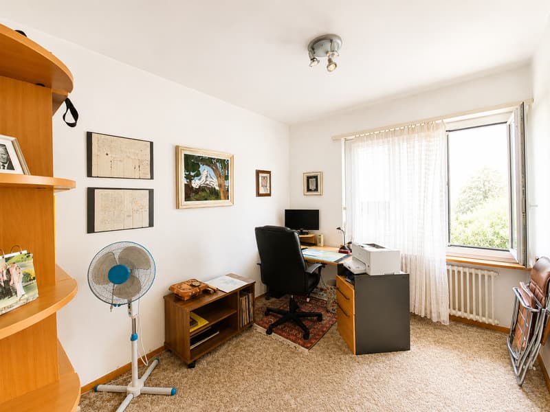 AMPIA VILLA DI 8 LOCALI CON GIARDINO PRIVATO A COLDRERIO (10)